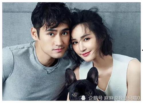 最新娱乐圈吃瓜小说推荐,揭秘最新吃瓜小说背后的精彩故事